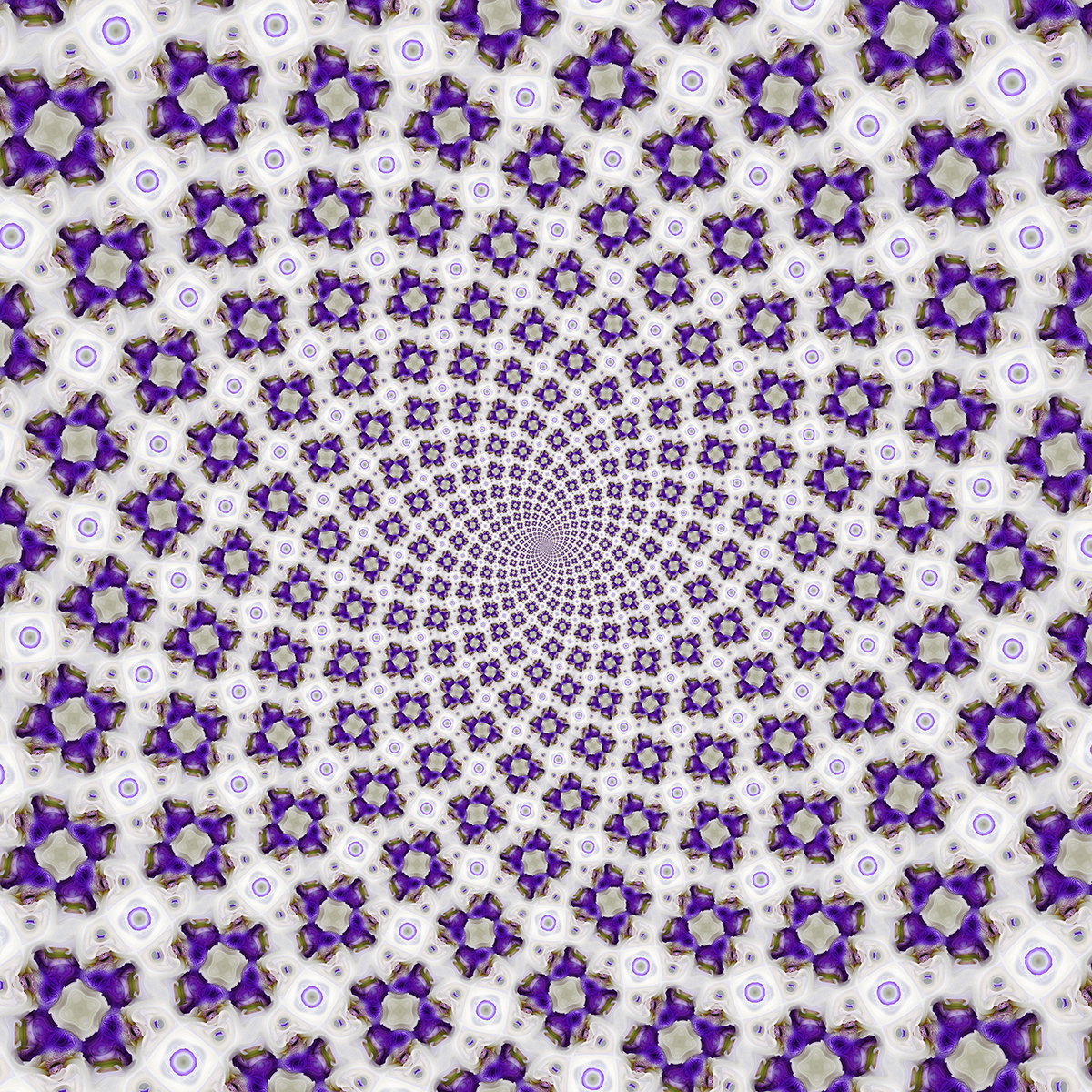 An Iris Spiral, by Frank Farris, 2017. Created using a version of SymmetryWorks repurposed to create spiral patterns. When strobed correctly, the pattern appears to expand.