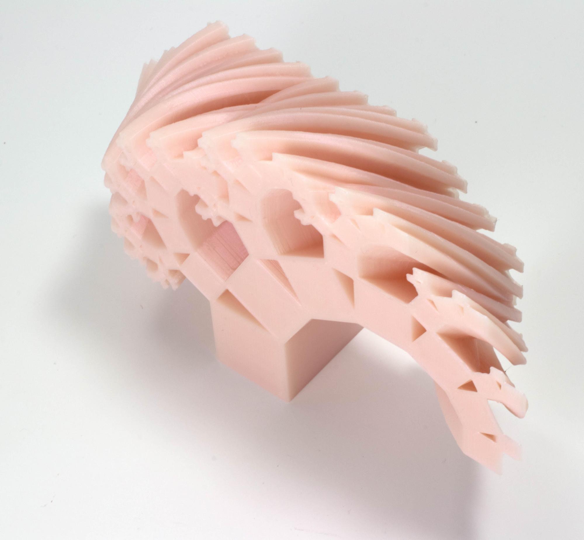 DEFORMATION OF THE PYTHAGOREAN TREE FRACTAL