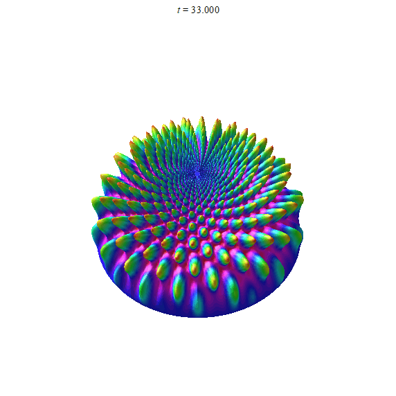 A Chrysanthemum Opens, by Frank Farris, 2018. Created and strobed virtually in Maple.